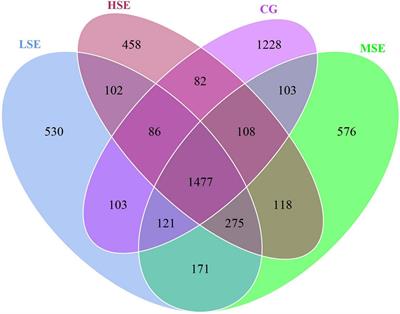 Supplemental dietary Selenohomolanthionine affects growth and rumen bacterial population of Shaanbei white cashmere wether goats